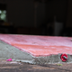 Houston homeowner Atul Vir has floodproofed his house after Hurricane Harvey